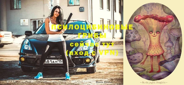 гашик Волосово