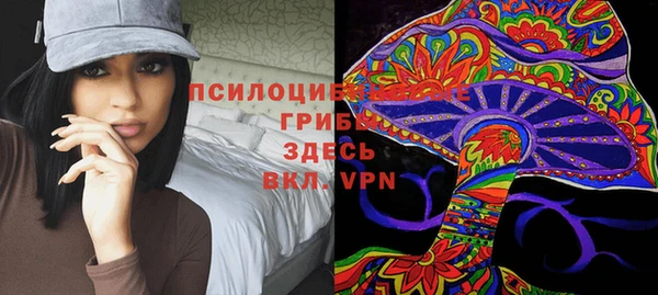 гашик Волосово